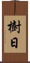 樹日 Scroll