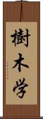 樹木学 Scroll