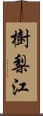 樹梨江 Scroll