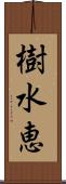 樹水恵 Scroll