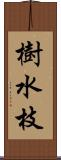 樹水枝 Scroll