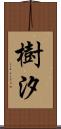 樹汐 Scroll