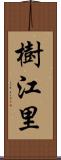 樹江里 Scroll