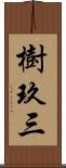 樹玖三 Scroll