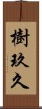 樹玖久 Scroll