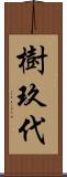 樹玖代 Scroll