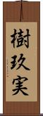 樹玖実 Scroll