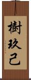 樹玖己 Scroll