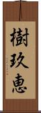 樹玖恵 Scroll