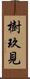 樹玖見 Scroll