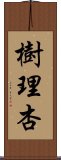 樹理杏 Scroll