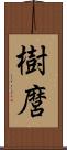 樹麿 Scroll