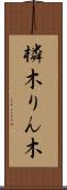 橉木 Scroll