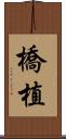 橋植 Scroll