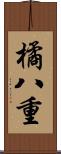 橘八重 Scroll
