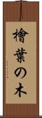 檜葉の木 Scroll