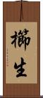 櫛生 Scroll