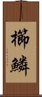 櫛鱗 Scroll