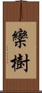 欒樹 Scroll