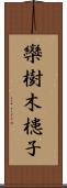 欒樹 Scroll