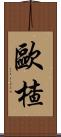 歐楂 Scroll