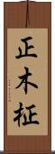 正木 Scroll