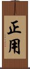 正用 Scroll