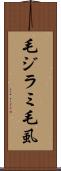 毛ジラミ Scroll