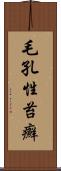 毛孔性苔癬 Scroll