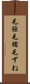毛脛 Scroll