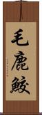 毛鹿鮫 Scroll