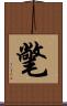氅 Scroll
