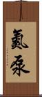氮泵 Scroll