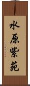 水原紫苑 Scroll