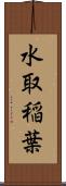 水取稲葉 Scroll