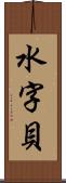 水字貝 Scroll