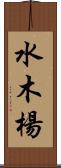 水木楊 Scroll