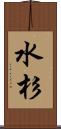 水杉 Scroll