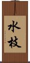 水枝 Scroll