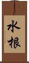 水根 Scroll