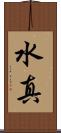 水真 Scroll