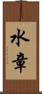 水章 Scroll