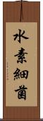 水素細菌 Scroll