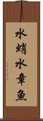 水蛸 Scroll