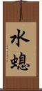 水螅 Scroll