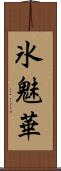 氷魅華 Scroll