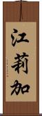 江莉加 Scroll