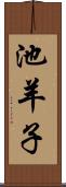 池羊子 Scroll