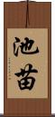 池苗 Scroll