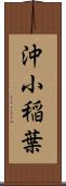 沖小稲葉 Scroll